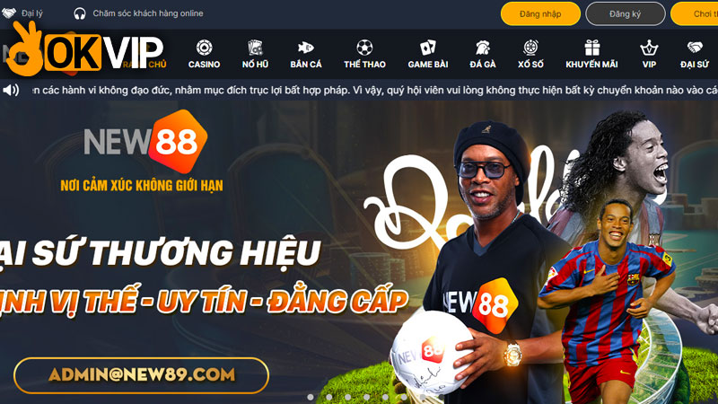 Tổng quan về new88 cc